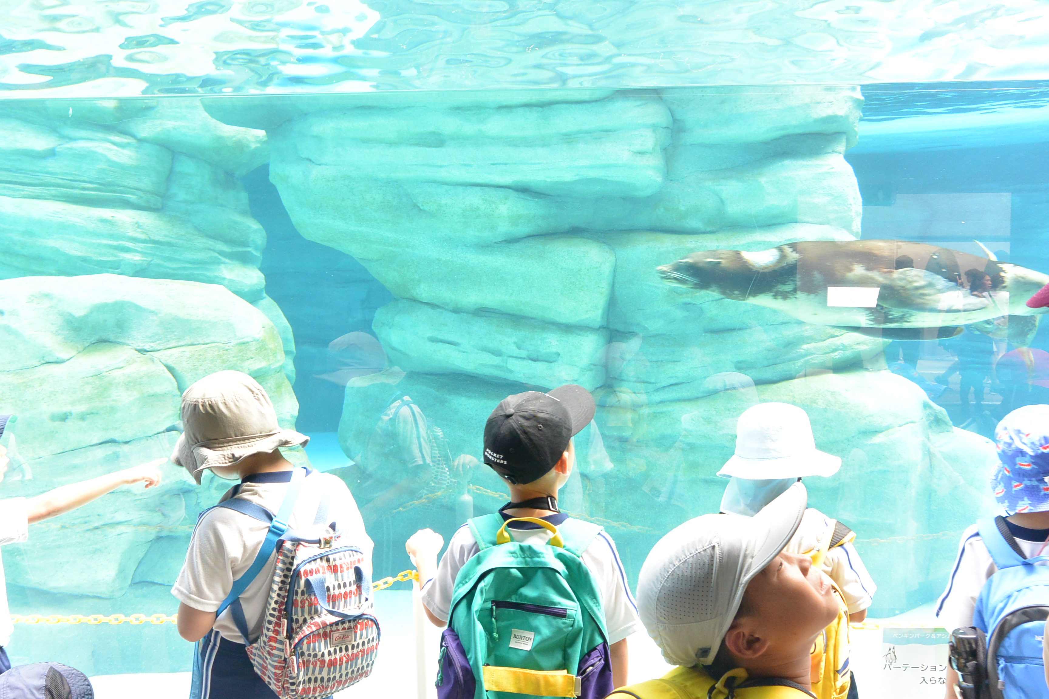 低年級動物園