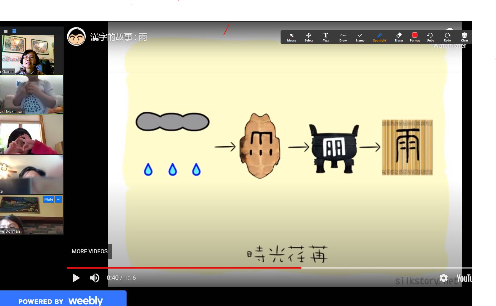 線上視訊活動