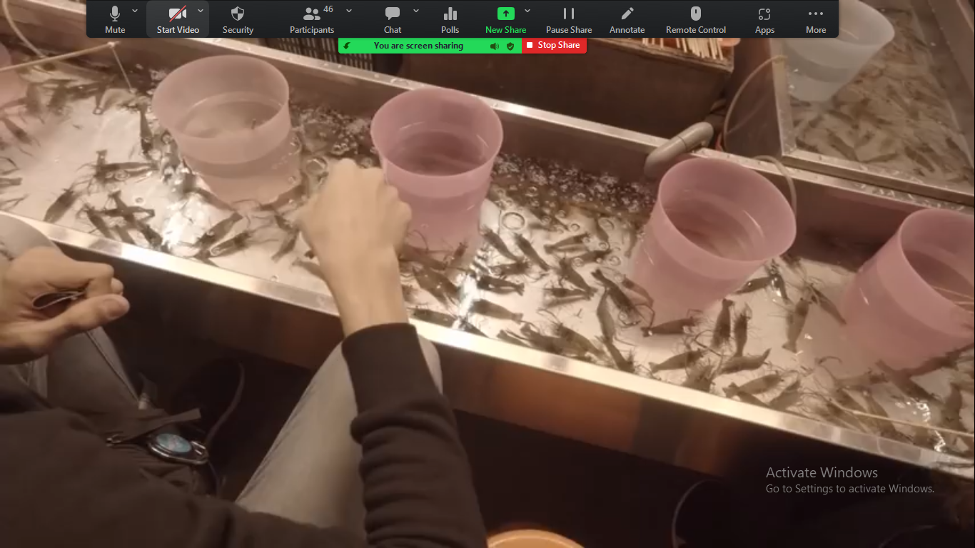 釣蝦遊戲